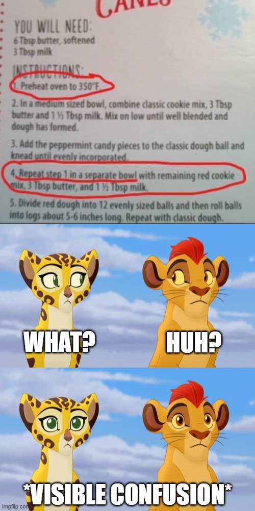 WHAT? HUH? *VISIBLE CONFUSION* | image tagged in kion and fuli side-eye,visible confusion,instructions,baking,failure | made w/ Imgflip meme maker