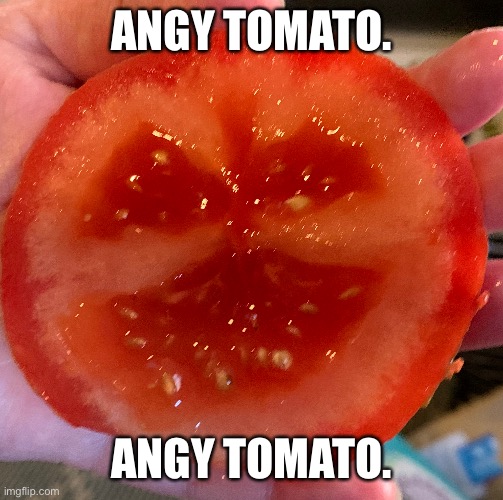 Angy tomato. | ANGY TOMATO. ANGY TOMATO. | image tagged in angy tomato | made w/ Imgflip meme maker