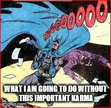 WHAT I AM GOING TO DO WITHOUT THIS IMPORTANT KARMA | image tagged in noooooooo,AdviceAnimals | made w/ Imgflip meme maker