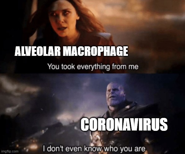 f for alveolar macrophages :( | ALVEOLAR MACROPHAGE; CORONAVIRUS | image tagged in you took everything from me - i don't even know who you are | made w/ Imgflip meme maker