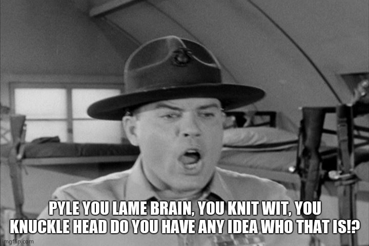 SGT. Carter | PYLE YOU LAME BRAIN, YOU KNIT WIT, YOU KNUCKLE HEAD DO YOU HAVE ANY IDEA WHO THAT IS!? | image tagged in sgt carter | made w/ Imgflip meme maker