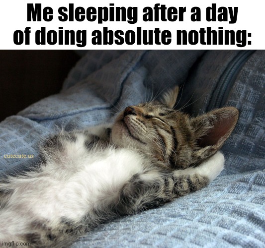 I know its kinda overused or smth (idk) but its true to say at least | Me sleeping after a day of doing absolute nothing: | image tagged in sleeping cat,introverts | made w/ Imgflip meme maker