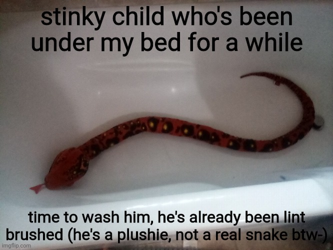 stinky child who's been under my bed for a while; time to wash him, he's already been lint brushed (he's a plushie, not a real snake btw-) | made w/ Imgflip meme maker
