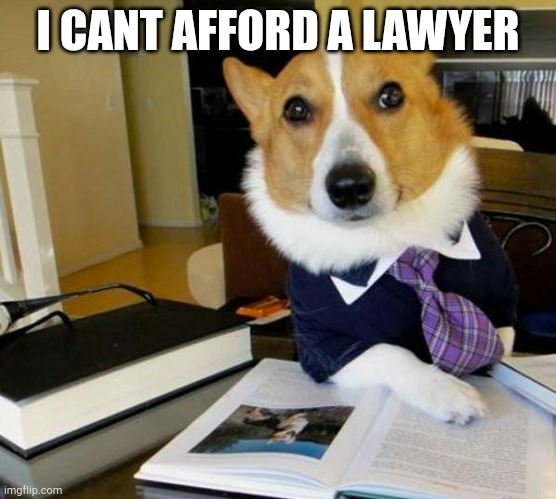 Lawyer Corgi Dog | I CANT AFFORD A LAWYER | image tagged in lawyer corgi dog | made w/ Imgflip meme maker