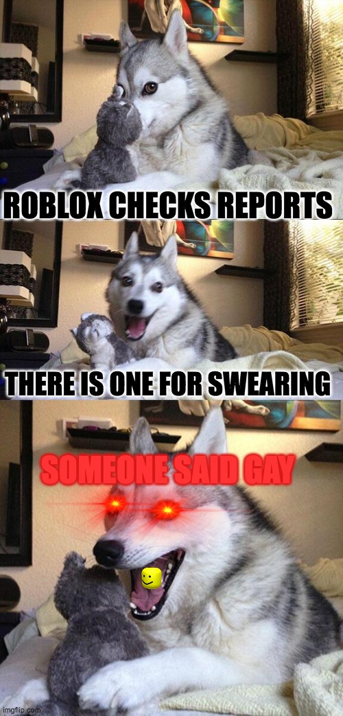 Roblox Bans | ROBLOX CHECKS REPORTS; THERE IS ONE FOR SWEARING; SOMEONE SAID GAY | image tagged in memes,bad pun dog | made w/ Imgflip meme maker