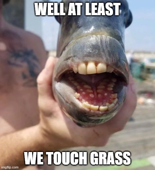 Gamers when someone roasts their favorite game: | WELL AT LEAST; WE TOUCH GRASS | image tagged in well at least british fish | made w/ Imgflip meme maker