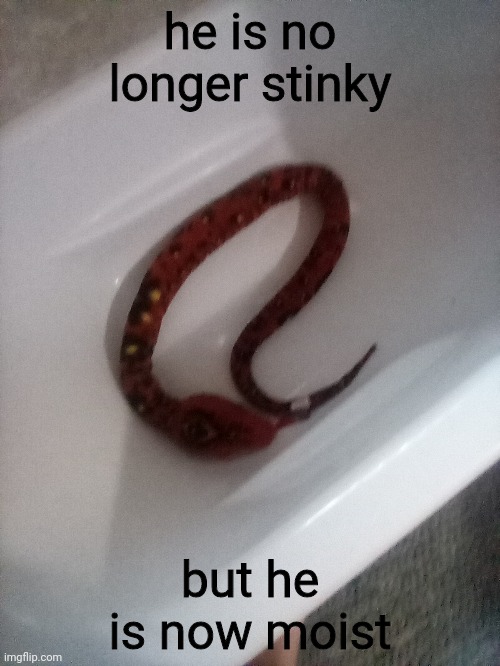 he is no longer stinky; but he is now moist | made w/ Imgflip meme maker