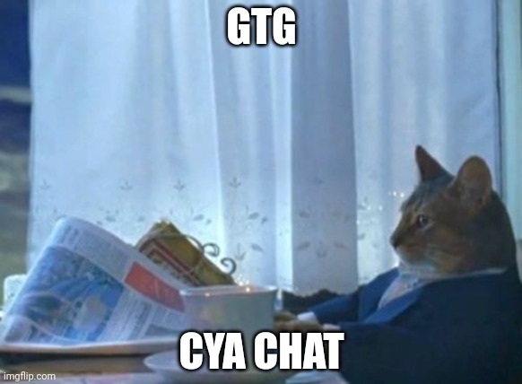 I Should Buy A Boat Cat | GTG; CYA CHAT | image tagged in memes,i should buy a boat cat | made w/ Imgflip meme maker