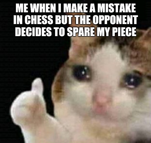 thank you to those people | ME WHEN I MAKE A MISTAKE IN CHESS BUT THE OPPONENT DECIDES TO SPARE MY PIECE | image tagged in sad thumbs up cat,memes,chess,thats what heroes do | made w/ Imgflip meme maker