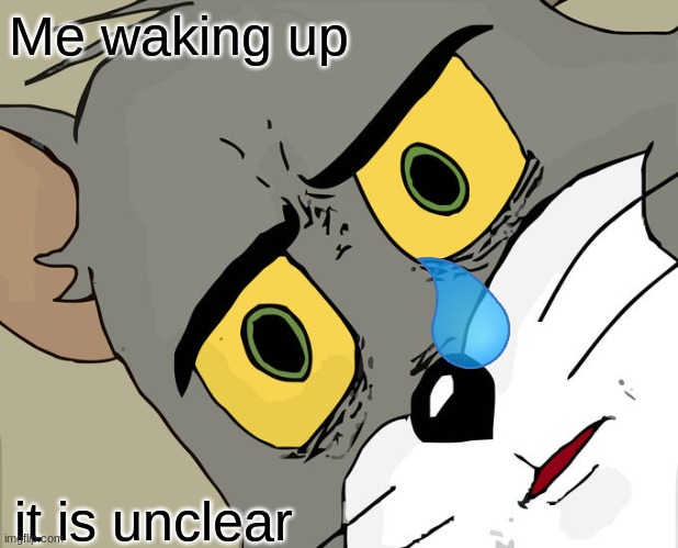 wake up | Me waking up; it is unclear | image tagged in memes,unsettled tom | made w/ Imgflip meme maker