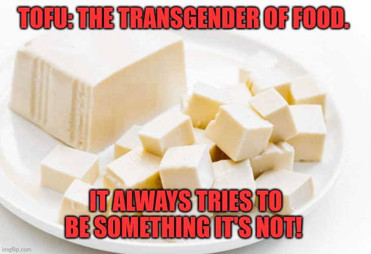 Confused Tofu | TOFU: THE TRANSGENDER OF FOOD. IT ALWAYS TRIES TO BE SOMETHING IT'S NOT! | made w/ Imgflip meme maker