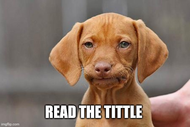Dissapointed puppy | READ THE TITTLE | image tagged in dissapointed puppy | made w/ Imgflip meme maker