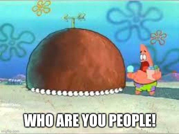 WHO ARE YOU PEOPLE? | WHO ARE YOU PEOPLE! | image tagged in who are you people | made w/ Imgflip meme maker