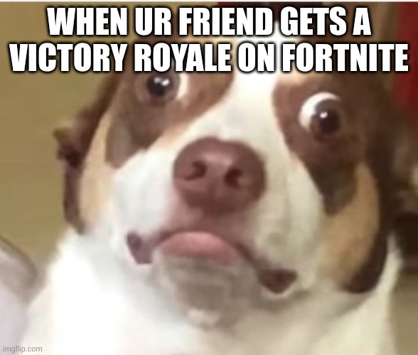 Relatable meme | WHEN UR FRIEND GETS A VICTORY ROYALE ON FORTNITE | image tagged in relatable meme | made w/ Imgflip meme maker