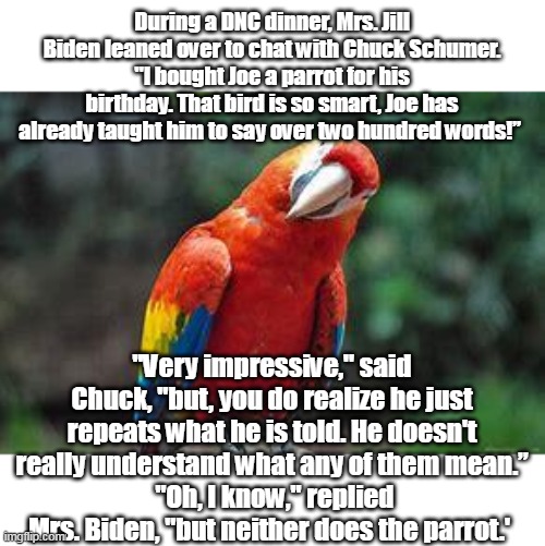 It's DOCTOR, FIRST LADY, Mrs. Biden | During a DNC dinner, Mrs. Jill Biden leaned over to chat with Chuck Schumer. "I bought Joe a parrot for his birthday. That bird is so smart, Joe has already taught him to say over two hundred words!”; "Very impressive," said Chuck, "but, you do realize he just repeats what he is told. He doesn't really understand what any of them mean.”
 "Oh, I know," replied Mrs. Biden, "but neither does the parrot.' | image tagged in idiotic embarrassment fraud crime family boss | made w/ Imgflip meme maker