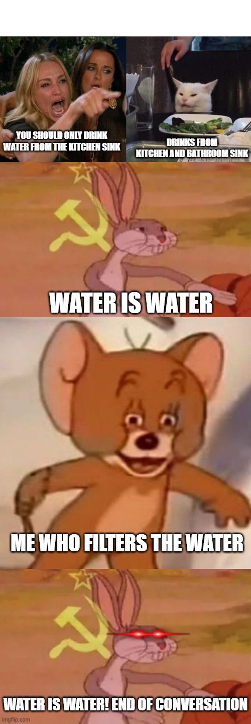 I have it filtered. |  DRINKS FROM KITCHEN AND BATHROOM SINK; YOU SHOULD ONLY DRINK WATER FROM THE KITCHEN SINK; WATER IS WATER; ME WHO FILTERS THE WATER; WATER IS WATER! END OF CONVERSATION | image tagged in memes,woman yelling at cat,bugs bunny communist,polish jerry | made w/ Imgflip meme maker