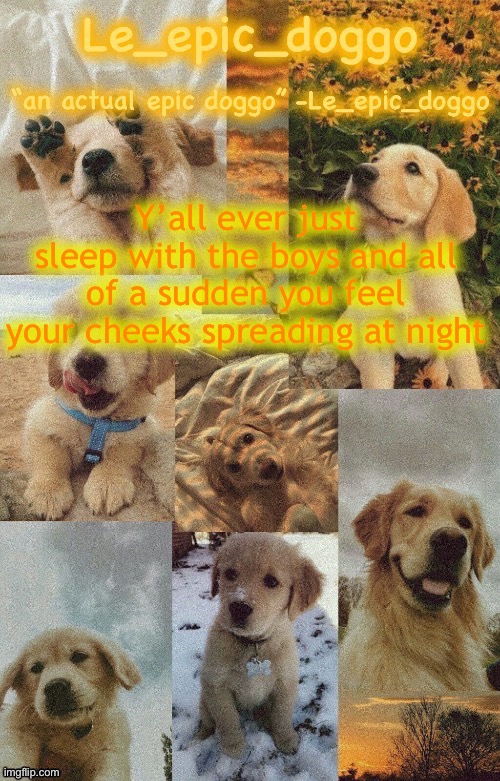 Doggo temp by doggo. Wait what that’s confusing | Y’all ever just sleep with the boys and all of a sudden you feel your cheeks spreading at night | image tagged in doggo temp by doggo wait what that s confusing | made w/ Imgflip meme maker