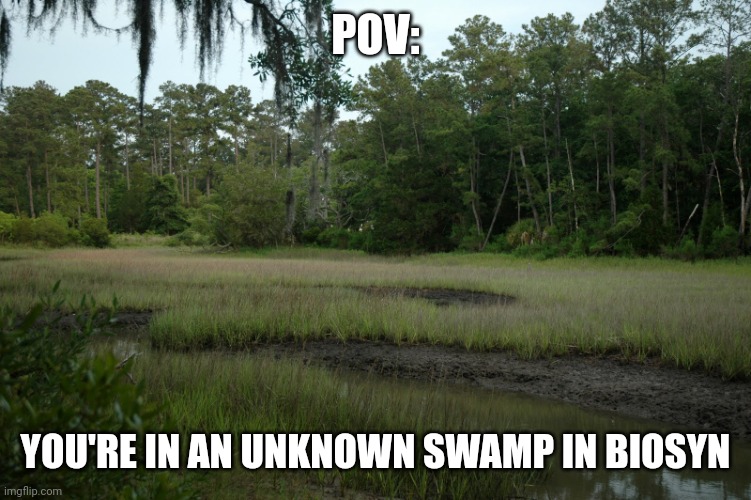 Rules: No Weaponized OCS, No OP Ocs, and No early roleplay endings | POV:; YOU'RE IN AN UNKNOWN SWAMP IN BIOSYN | image tagged in swamps,roleplaying,jurassic park,jurassic world | made w/ Imgflip meme maker
