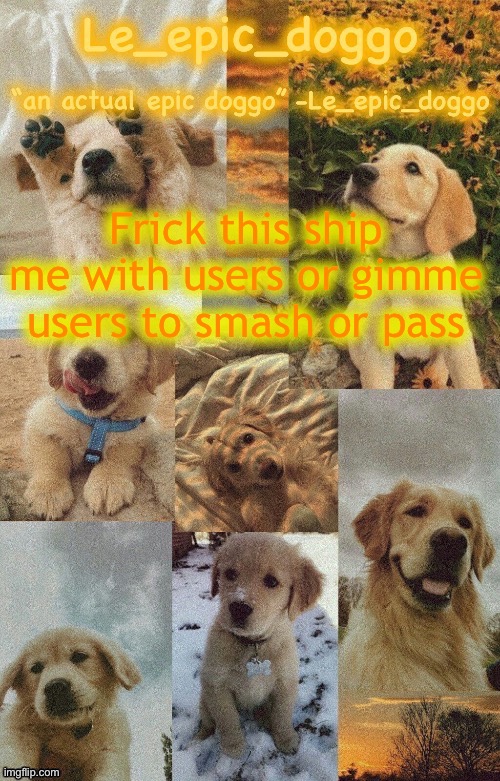 Doggo temp by doggo. Wait what that’s confusing | Frick this ship me with users or gimme users to smash or pass | image tagged in doggo temp by doggo wait what that s confusing | made w/ Imgflip meme maker