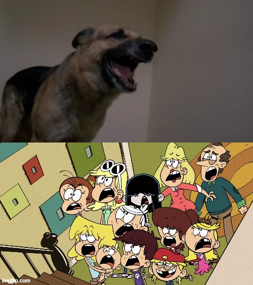 Dog threatens Loud family | image tagged in the loud house | made w/ Imgflip meme maker