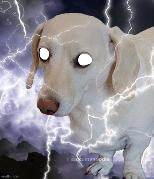Made it a temp bc ye | image tagged in dog kill yourself | made w/ Imgflip meme maker