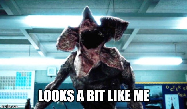 Demogorgon Ramsay | LOOKS A BIT LIKE ME | image tagged in demogorgon ramsay | made w/ Imgflip meme maker