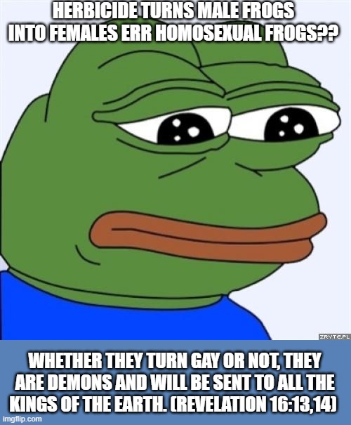 Gay demon frogs | HERBICIDE TURNS MALE FROGS INTO FEMALES ERR HOMOSEXUAL FROGS?? WHETHER THEY TURN GAY OR NOT, THEY ARE DEMONS AND WILL BE SENT TO ALL THE KINGS OF THE EARTH. (REVELATION 16:13,14) | image tagged in sad frog,gays,demon,bible verse,kings,political meme | made w/ Imgflip meme maker