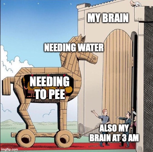 itdobelikethattho | MY BRAIN; NEEDING WATER; NEEDING TO PEE; ALSO MY BRAIN AT 3 AM | image tagged in trojan horse | made w/ Imgflip meme maker