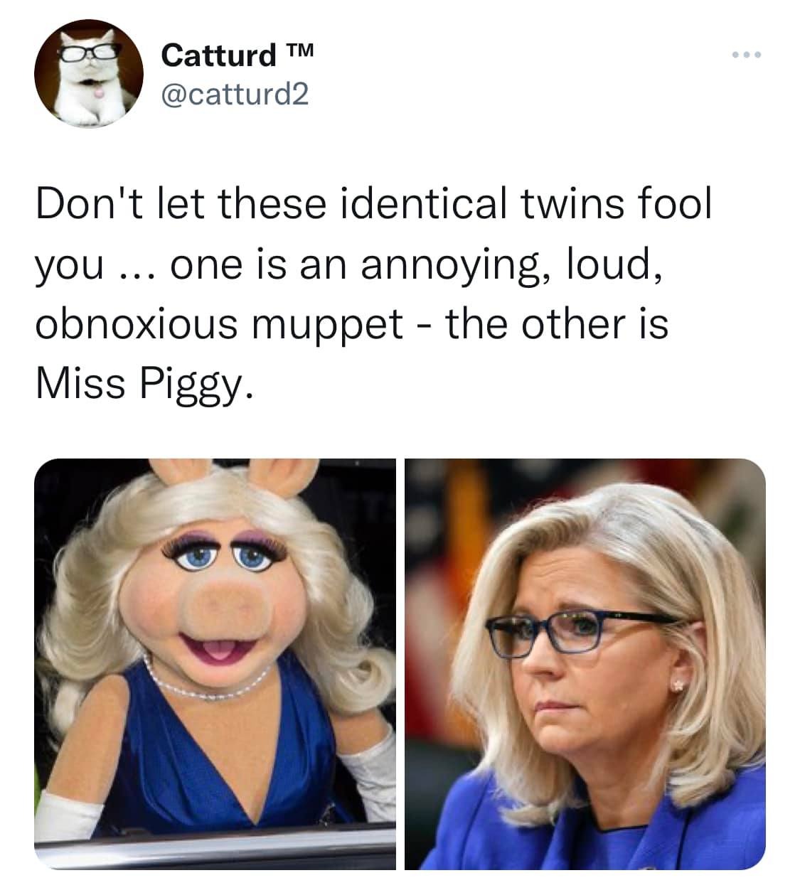 Don't let these identical twins fool you. | image tagged in separated at birth,lynn cheney,miss piggy,lipstick on a pig,rino swine,catturd | made w/ Imgflip meme maker
