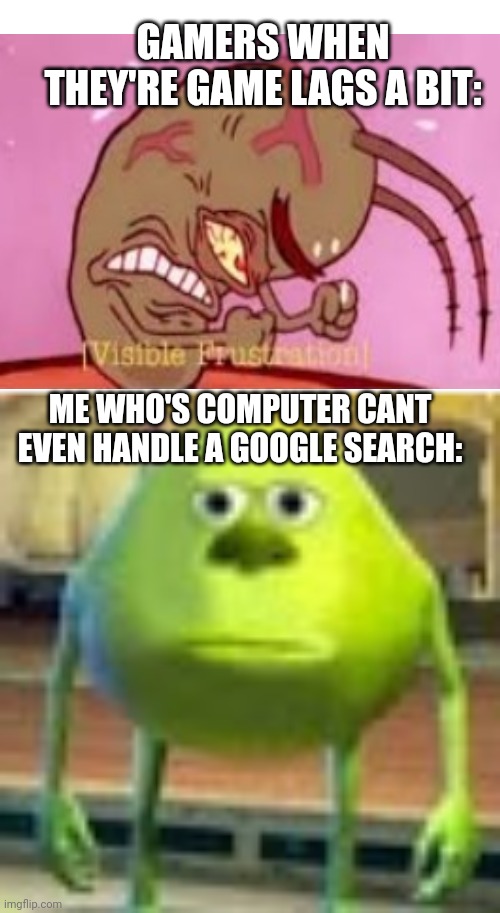 Sully Wazowski | GAMERS WHEN THEY'RE GAME LAGS A BIT:; ME WHO'S COMPUTER CANT EVEN HANDLE A GOOGLE SEARCH: | image tagged in sully wazowski | made w/ Imgflip meme maker