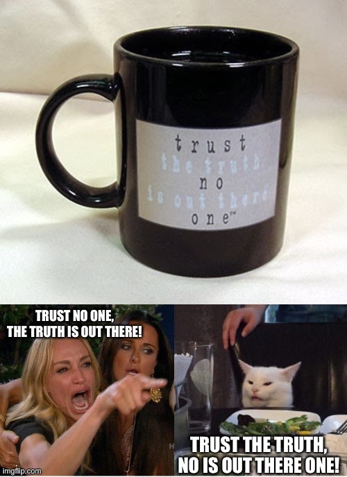 Did anyone else have this mug back in the day? | TRUST NO ONE, THE TRUTH IS OUT THERE! TRUST THE TRUTH, NO IS OUT THERE ONE! | image tagged in salad cat,the x-files,syntax error,nostalgia | made w/ Imgflip meme maker