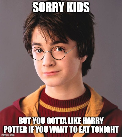 Expectations | SORRY KIDS; BUT YOU GOTTA LIKE HARRY POTTER IF YOU WANT TO EAT TONIGHT | image tagged in harry potter,smug | made w/ Imgflip meme maker