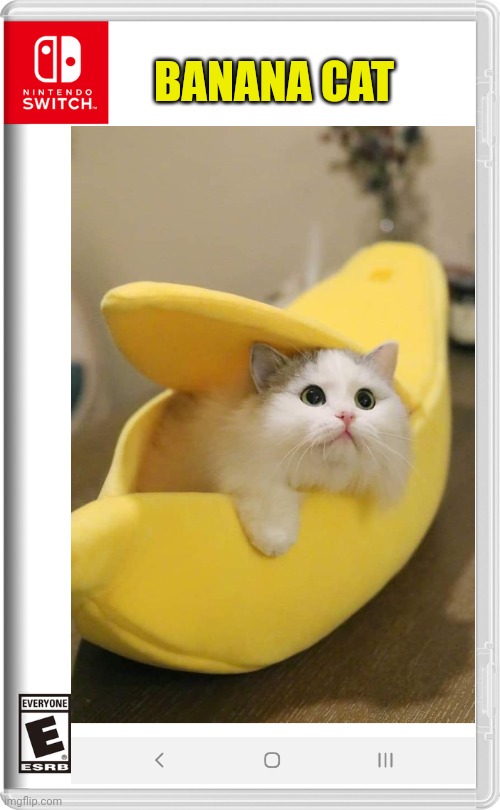 Love as a cat in a banana costume | BANANA CAT | image tagged in nintendo switch,cat,banana | made w/ Imgflip meme maker