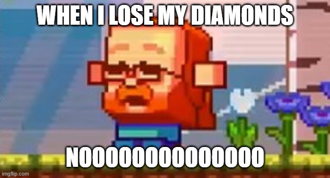 Dimons | WHEN I LOSE MY DIAMONDS; NOOOOOOOOOOOOOO | image tagged in jeb screaming no | made w/ Imgflip meme maker