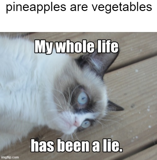 my whole life has been a lie | pineapples are vegetables | image tagged in my whole life has been a lie | made w/ Imgflip meme maker