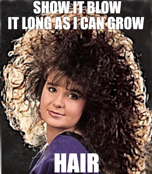 BIG EVERYTHING | SHOW IT BLOW IT LONG AS I CAN GROW; HAIR | image tagged in all the 80s hair | made w/ Imgflip meme maker