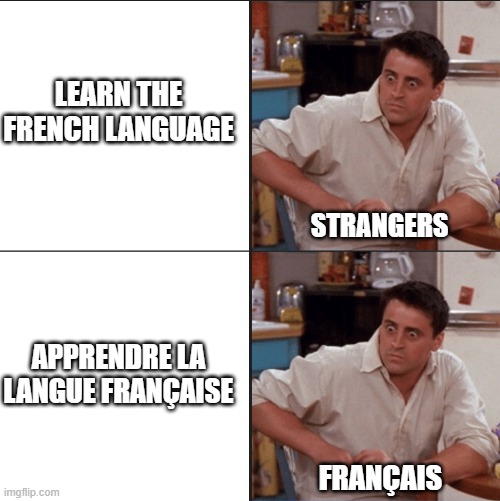 It's also a problem for us... | LEARN THE FRENCH LANGUAGE; STRANGERS; APPRENDRE LA LANGUE FRANÇAISE; FRANÇAIS | image tagged in french language,french,joey meme | made w/ Imgflip meme maker