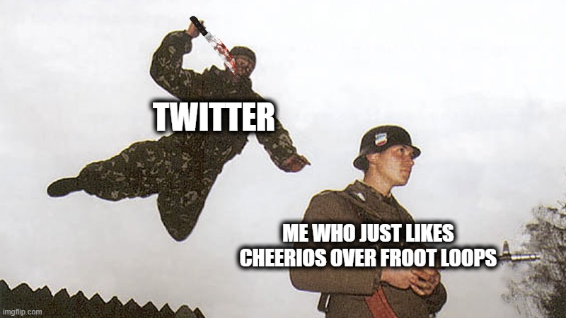 cheerios | TWITTER; ME WHO JUST LIKES CHEERIOS OVER FROOT LOOPS | image tagged in soldier jump spetznaz,twitter,cereal,bruh,random bullshit go | made w/ Imgflip meme maker