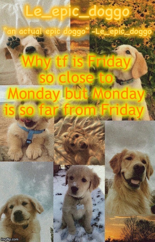 Doggo temp by doggo. Wait what that’s confusing | Why tf is Friday so close to Monday but Monday is so far from Friday | image tagged in doggo temp by doggo wait what that s confusing | made w/ Imgflip meme maker