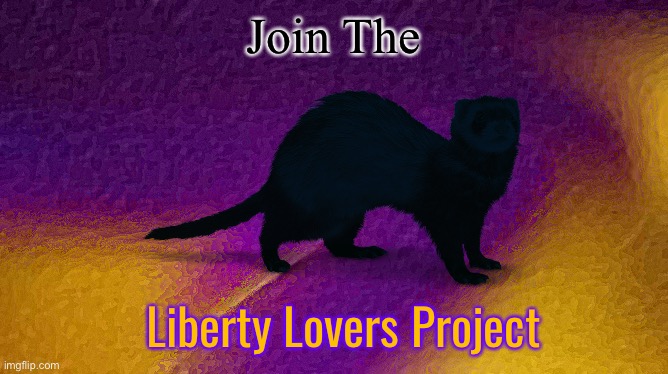 An IRL movement im starting intending to join liberals/classic-liberals/libertarians/conservatives alike | Join The; Liberty Lovers Project | made w/ Imgflip meme maker
