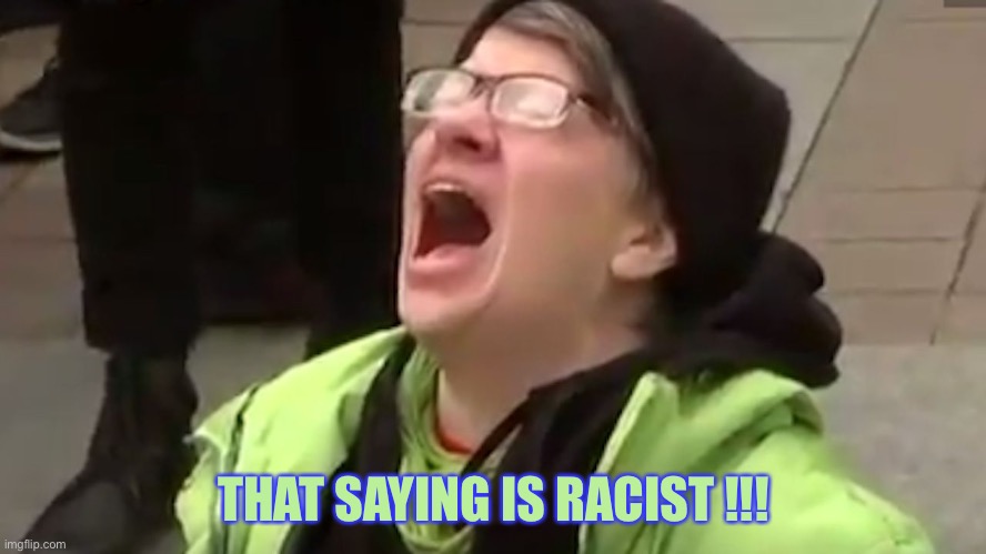 Screaming Liberal  | THAT SAYING IS RACIST !!! | image tagged in screaming liberal | made w/ Imgflip meme maker