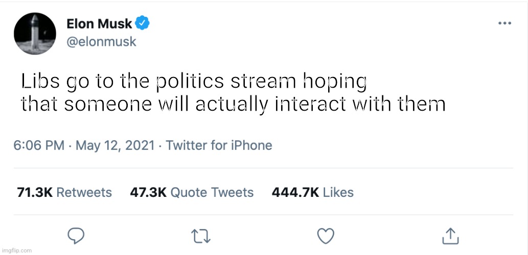 Because nobody pays attention to them in their safe spaces |  Libs go to the politics stream hoping that someone will actually interact with them | image tagged in elon musk blank tweet,haha,truth,safe space,crying | made w/ Imgflip meme maker