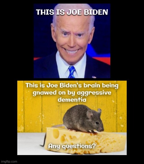 It was a toss up between either this or if irritated bowel syndrome had a face | image tagged in joe biden,dementia,politics,political | made w/ Imgflip meme maker