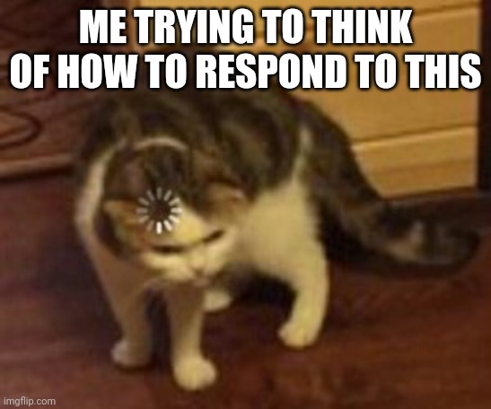 Loading cat | ME TRYING TO THINK OF HOW TO RESPOND TO THIS | image tagged in loading cat | made w/ Imgflip meme maker