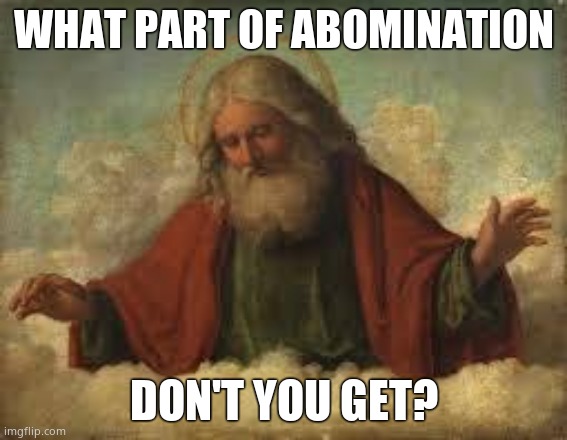 god | WHAT PART OF ABOMINATION DON'T YOU GET? | image tagged in god | made w/ Imgflip meme maker