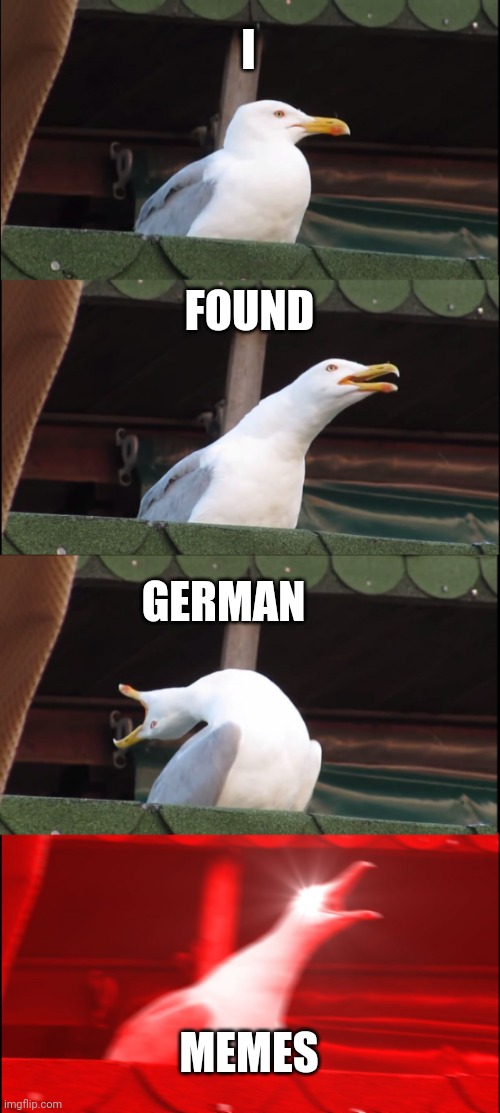 Hehehe | I; FOUND; GERMAN; MEMES | image tagged in memes,inhaling seagull | made w/ Imgflip meme maker