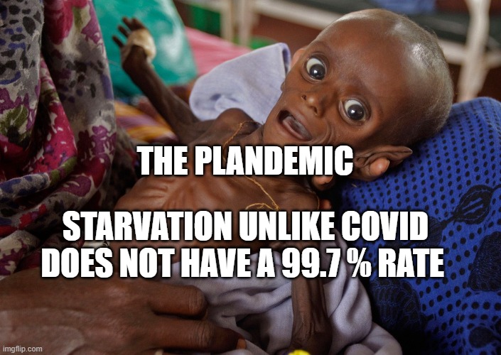 covid kid | THE PLANDEMIC; STARVATION UNLIKE COVID DOES NOT HAVE A 99.7 % RATE | image tagged in covid kid | made w/ Imgflip meme maker