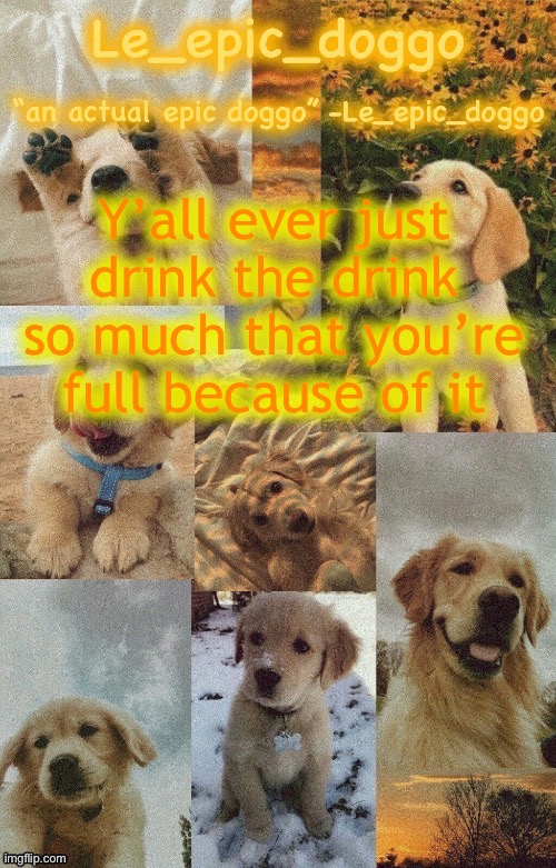 Doggo temp by doggo. Wait what that’s confusing | Y’all ever just drink the drink so much that you’re full because of it | image tagged in doggo temp by doggo wait what that s confusing | made w/ Imgflip meme maker