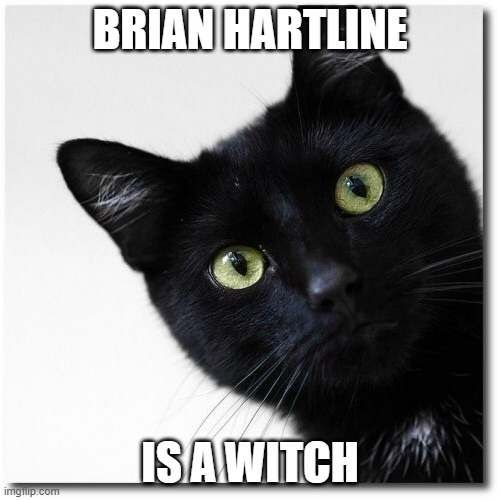 brian hartline | BRIAN HARTLINE; IS A WITCH | image tagged in black cats matter | made w/ Imgflip meme maker