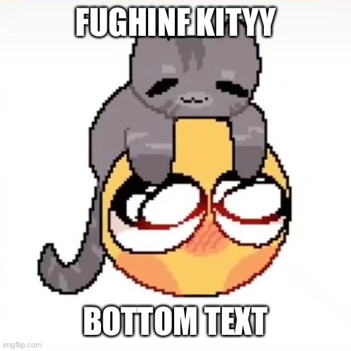 Kitty fuqkin c a t t | FUGHINF KITYY; BOTTOM TEXT | made w/ Imgflip meme maker